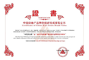 2019中国房地产精品项目品牌价值TOP10——WG电子滨江系